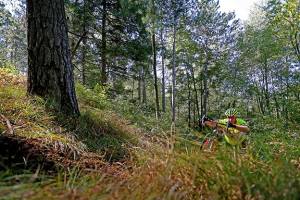 14237750_10100544112303227_4235036272111877086_n